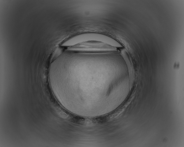 X0000089360305200707131620