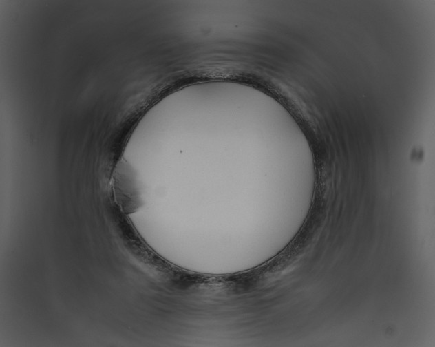 X0000089360307200707131620