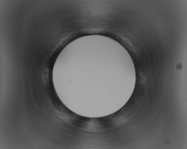 X0000089360308200707131620