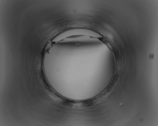 X0000089360309200707131620