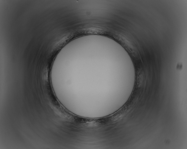 X0000089360310200707131620