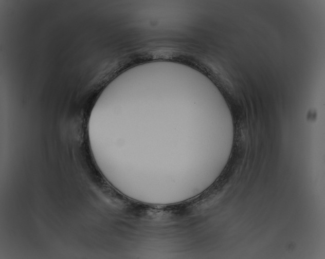 X0000089360311200707131620
