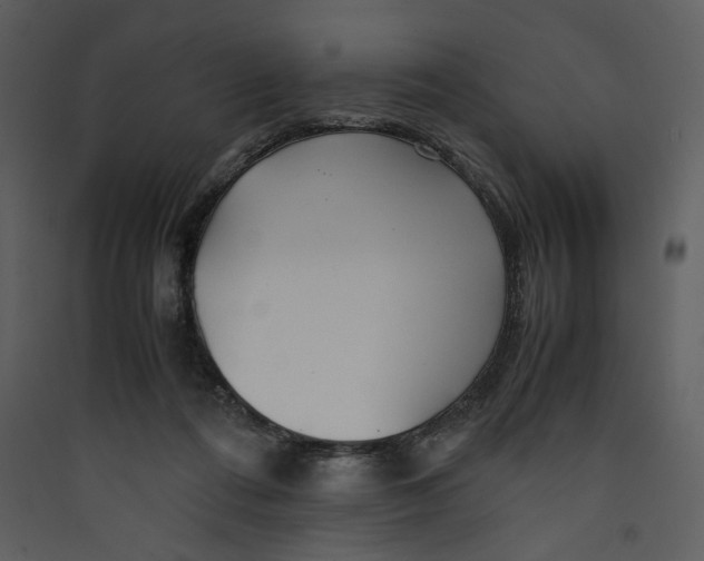 X0000089360312200707131620