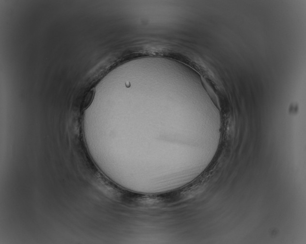 X0000089360313200707131620