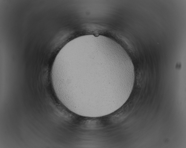X0000089360314200707131620