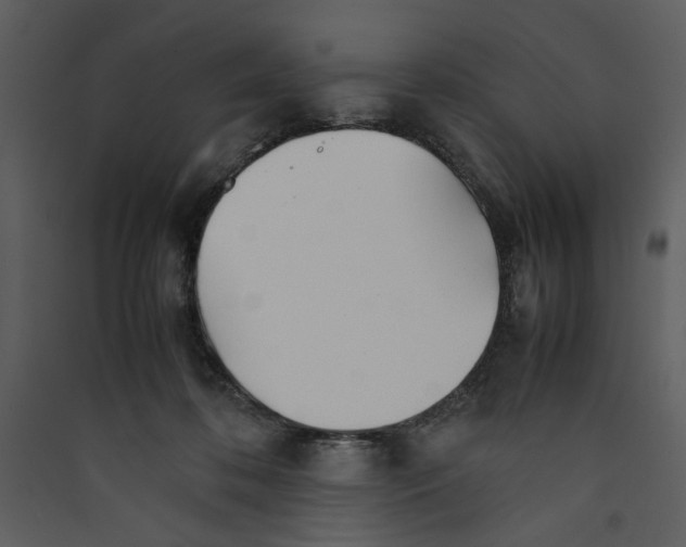X0000089360316200707131620