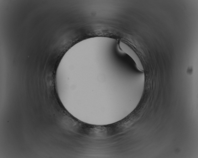 X0000089360317200707131620