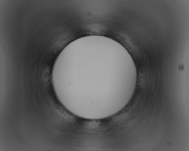 X0000089360318200707131620