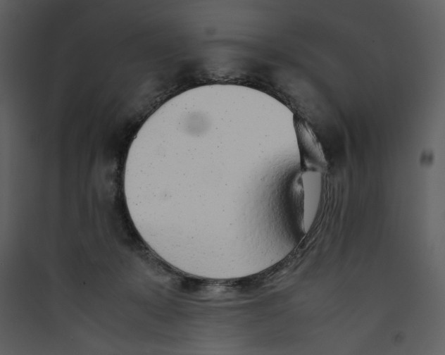 X0000089360319200707131620