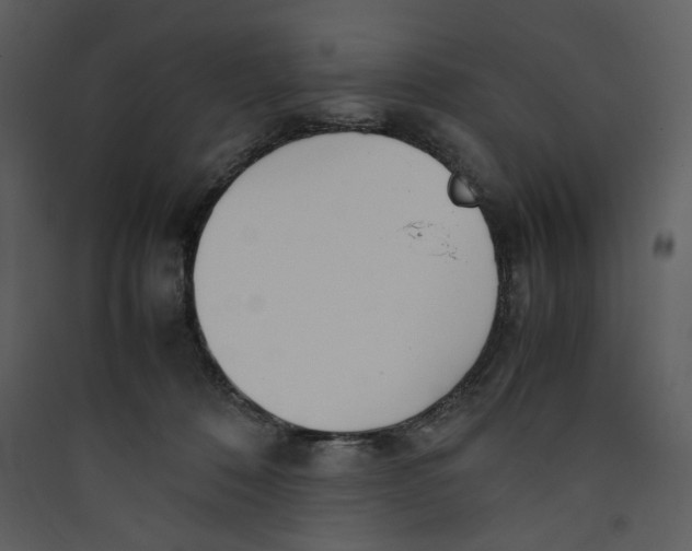 X0000089360320200707131620