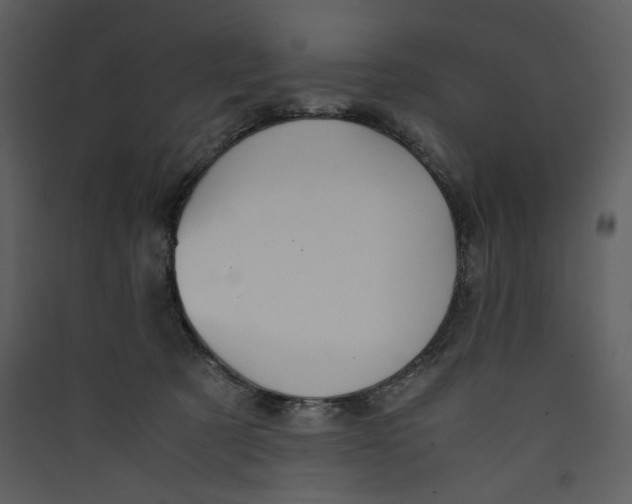 X0000089360321200707131620