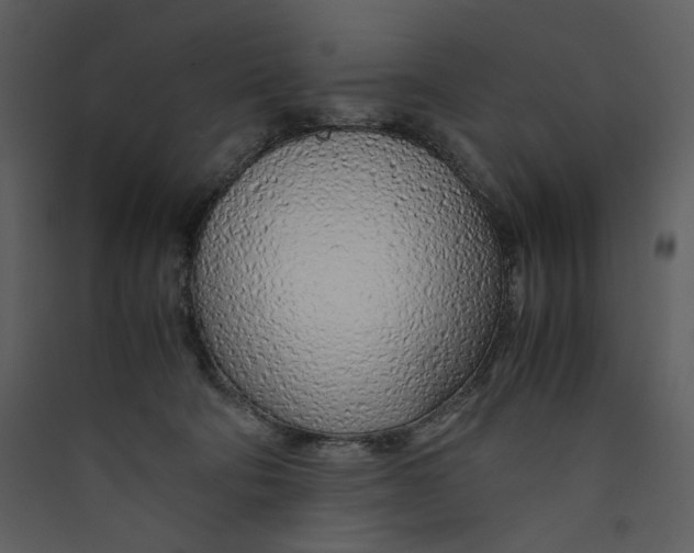 X0000089360322200707131620