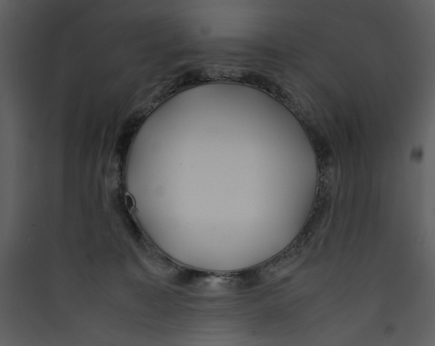 X0000089360323200707131620