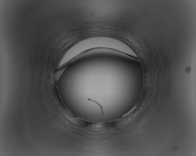X0000089360325200707131620