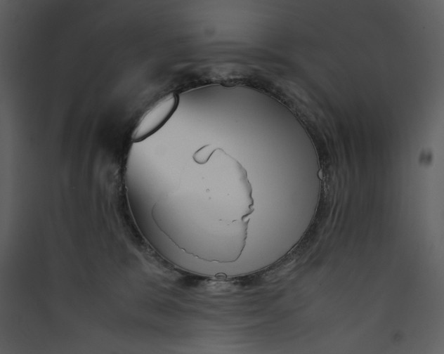 X0000089360327200707131620