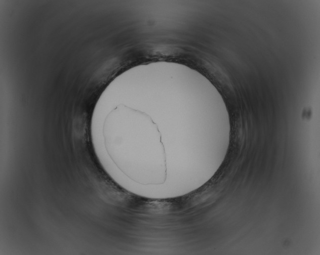 X0000089360328200707131620