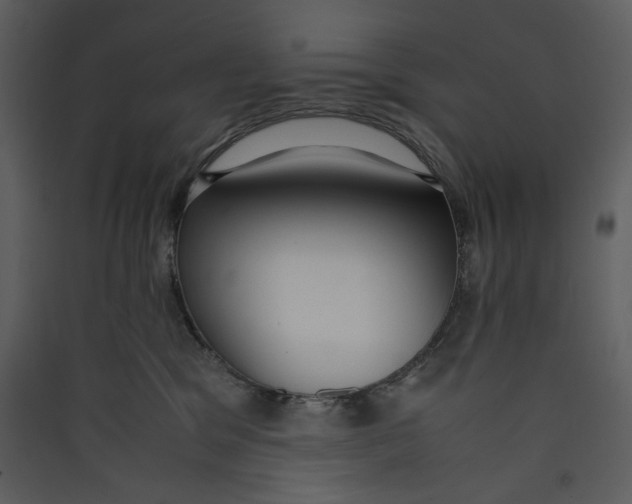 X0000089360329200707131620