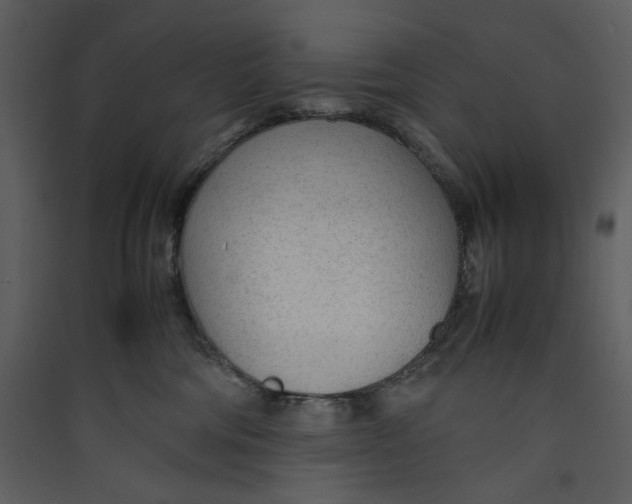 X0000089360330200707131620