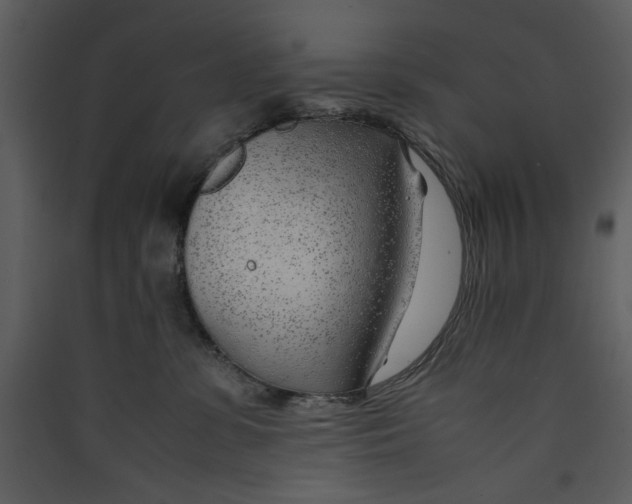 X0000089360331200707131620
