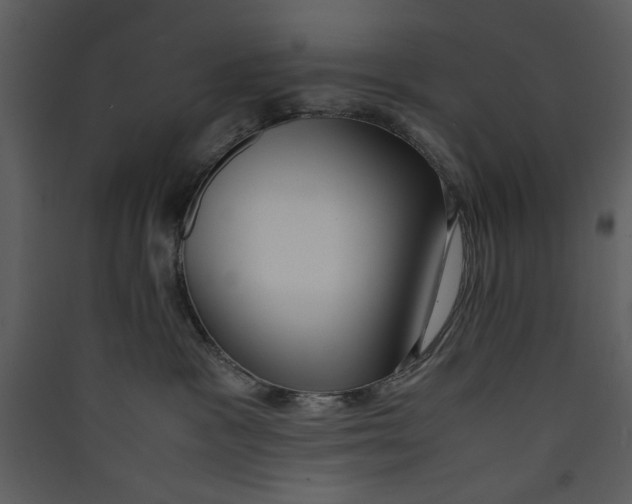 X0000089360333200707131620