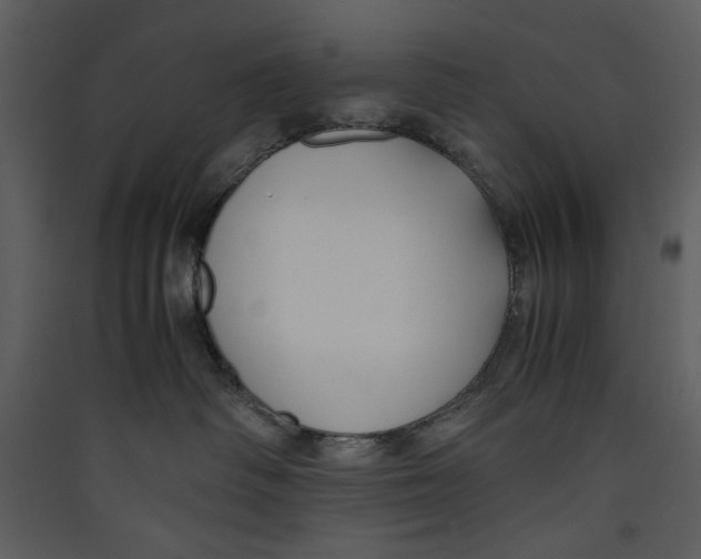 X0000089360334200707131620