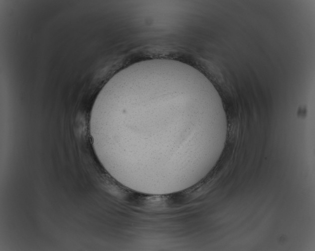 X0000089360335200707131620