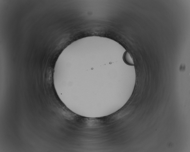 X0000089360336200707131620