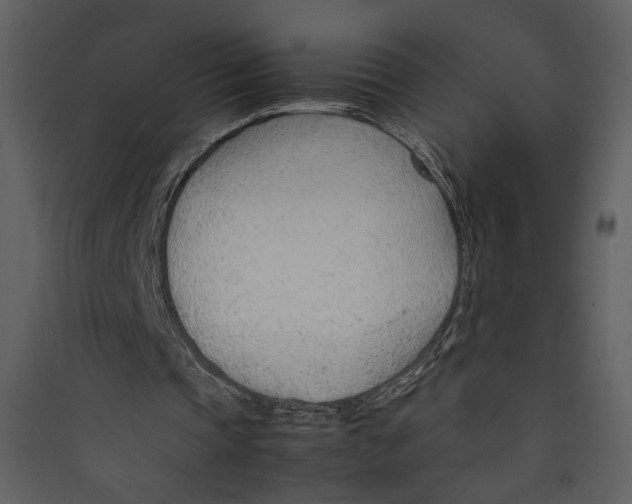 X0000089360337200707131619