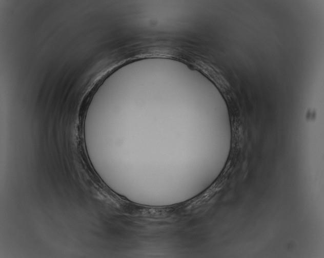 X0000089360338200707131619