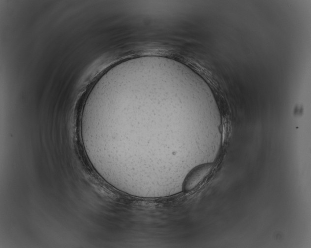 X0000089360339200707131619