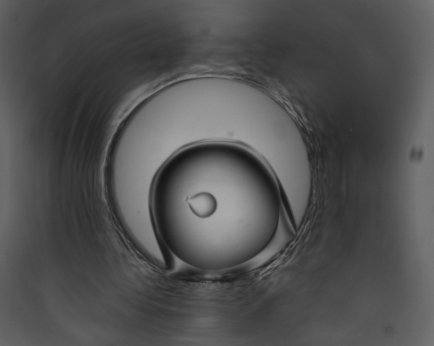 X0000089360340200707131619