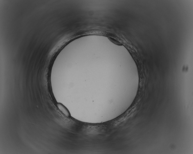 X0000089360341200707131619