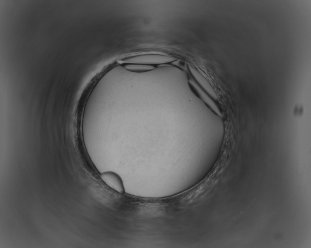 X0000089360342200707131619