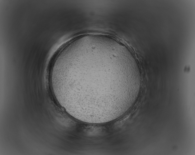X0000089360343200707131619