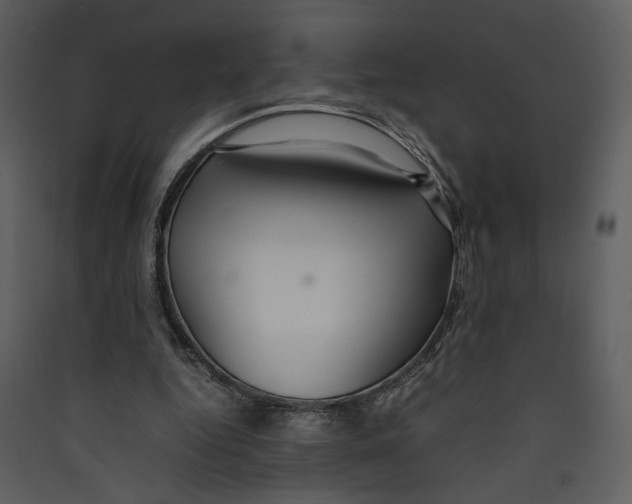 X0000089360344200707131619