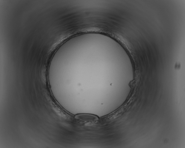 X0000089360345200707131619