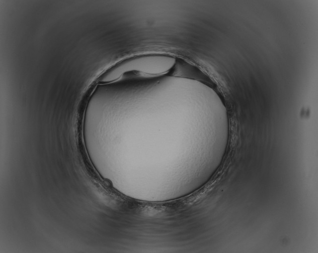 X0000089360346200707131619
