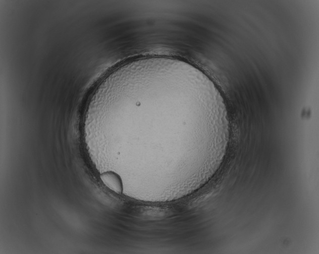 X0000089360347200707131619