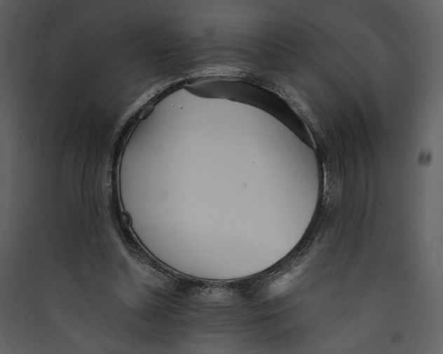 X0000089360348200707131619