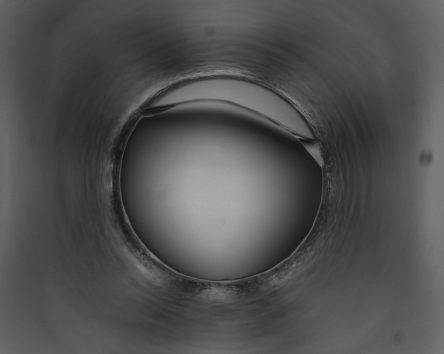 X0000089360350200707131619