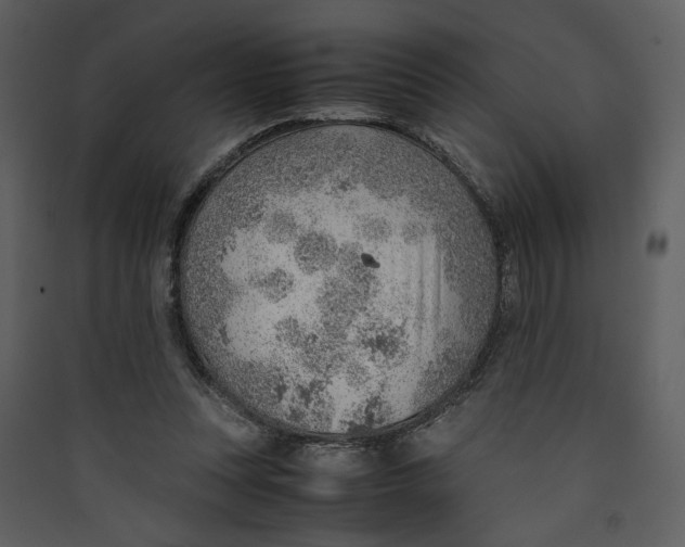 X0000089360351200707131619
