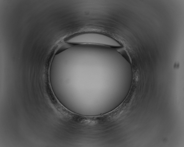 X0000089360352200707131619
