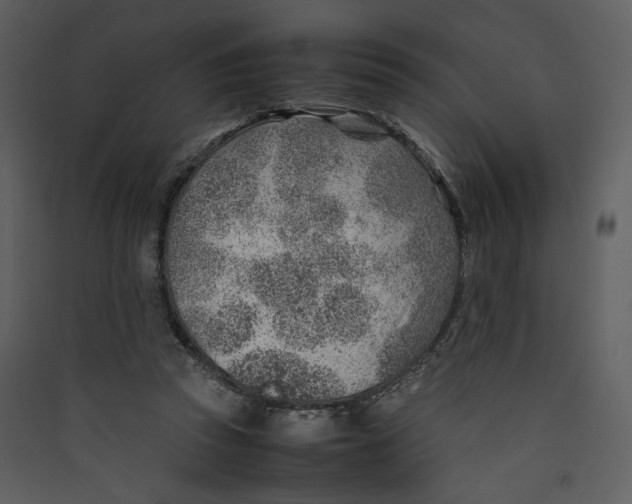 X0000089360353200707131619