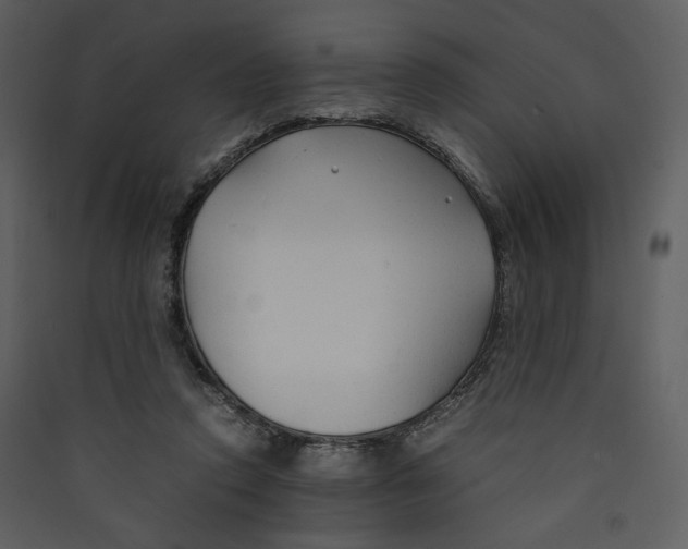 X0000089360354200707131619