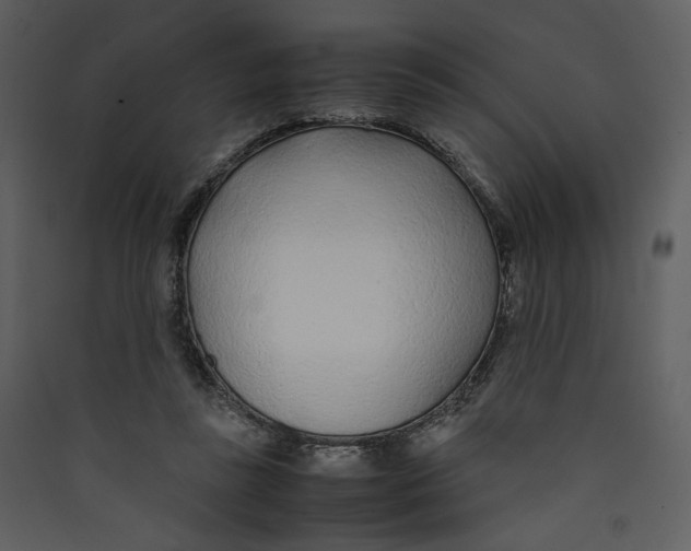 X0000089360355200707131619
