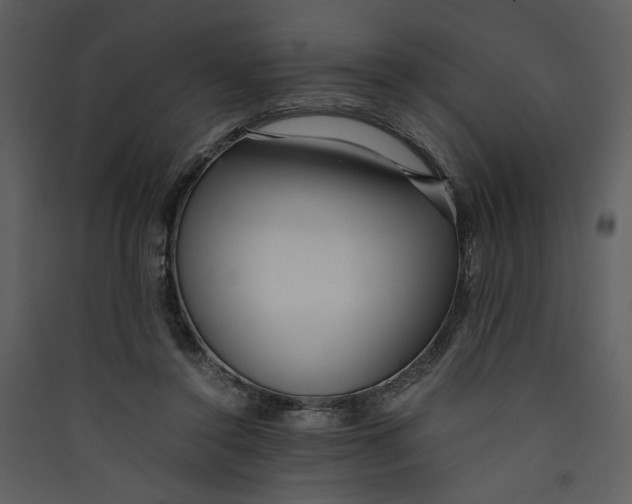 X0000089360356200707131619
