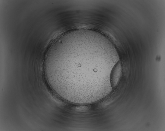 X0000089360357200707131619