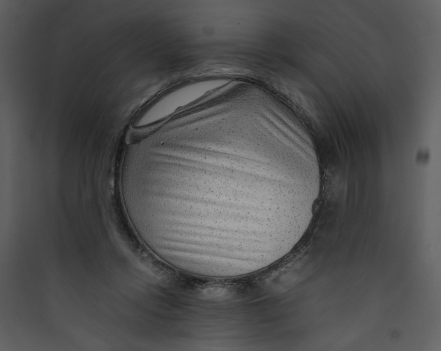 X0000089360358200707131619