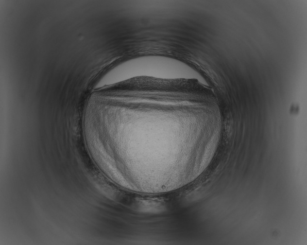 X0000089360359200707131619
