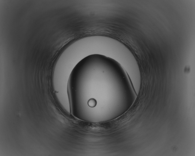 X0000089360360200707131619